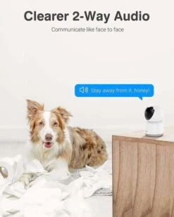 Annke Crater 2 Überwachungskamera (2304x1296, WLAN, Pan/Tilt, 8m Nachtsicht, Bewegungs- & Geräuscherkennung, 2-Wege-Audio, Sirene, MicroSD) -Elektronische Geräte Verkäufe 2245829 1 4