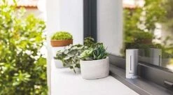 Netatmo NWS01-EU Smarte Wetterstation -Elektronische Geräte Verkäufe 2271707 1 3