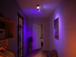 Philips Hue Centris 2er-Spot Deckenleuchte Mit Cross Design In Schwarz - RGBW Multicolor Licht -Elektronische Geräte Verkäufe 2273534 1 2