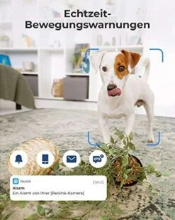 Überwachungskamera Reolink E1, Refurb, Prime, PIR, Cam, Babyphone -Elektronische Geräte Verkäufe 2278482 1 3