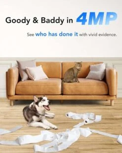 Annke Crater Pro Überwachungskamera (2560x1440, WLAN, PTZ, Bewegungserkennung, 2-Wege-Audio, 6m Nachtsicht, MicroSD, ONVIF) 13 Annke Crater Pro Überwachungskamera (2560x1440, WLAN, PTZ, Bewegungserkennung, 2-Wege-Audio, 6m Nachtsicht, MicroSD, ONVIF) -Elektronische Geräte Verkäufe 2279671 1 3