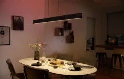 [Ebay] Philips Hue Ensis Pendelleuchte Schwarz | Bestpreis