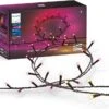Philips Hue Festavia Lichterkette 20m (ZigBee & Bluetooth, 250 LEDs, RGBW, 2000-6500K, Dimmbar, IP54) - Alternativ 40m Für 289€ -Elektronische Geräte Verkäufe 2282190 1