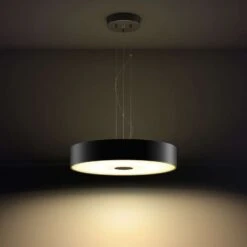 Philips Hue White Ambiance Fair Pendant Hängeleuchte Ø 44,4cm Bluetooth -Elektronische Geräte Verkäufe 2285137 1 5